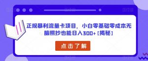 正规暴利流量卡项目,小白零基础零成本无脑照抄也能日入300+【揭秘】-第一资源库