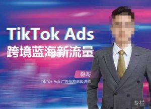 稳哥·如何投出高ROI的TikTok广告，开拓独立站卖家流量新蓝海-第一资源库