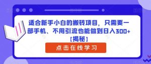 适合新手小白的搬砖项目,只需要一部手机、不用引流也能做到日入300+【揭秘】-第一资源库
