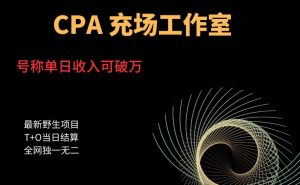 cpa充场工作室，号称单日收入10000+（揭秘）-第一资源库