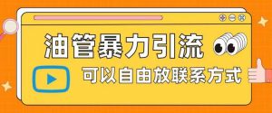 油管暴力引流,可以自由放联系方式【揭秘】-第一资源库