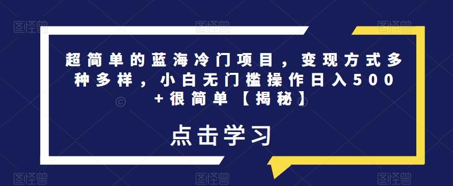 超简单的蓝海冷门项目,变现方式多种多样,小白无门槛操作日入500+很简单【揭秘】-第一资源库