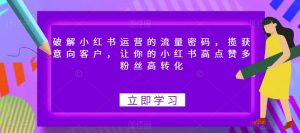 破解小红书运营的流量密码,揽获意向客户,让你的小红书高点赞多粉丝高转化-第一资源库