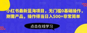 小红书最新蓝海项目,无门槛0基础操作,刚需产品,操作得当日入500+非常简单【揭秘】-第一资源库