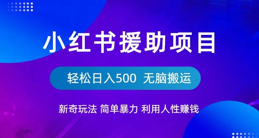 小红书援助项目新奇玩法,简单暴力,无脑搬运轻松日入500【揭秘】-第一资源库