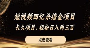 短视频回忆杀撸金项目,长久项目,轻松日入两三张【揭秘】-第一资源库