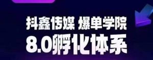 抖鑫传媒-爆单学院8.0孵化体系,让80%以上达人都能运营一个稳定变现的账号,操作简单,一部手机就能做-第一资源库