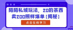 陌陌私域玩法，20的茶西卖200照样爆单【揭秘】-第一资源库