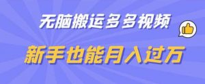 无脑搬运多多视频，新手也能月入过万【揭秘】-第一资源库
