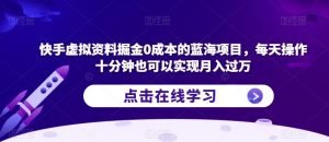 快手虚拟资料掘金0成本的蓝海项目,每天操作十分钟也可以实现月入过万【揭秘】-第一资源库