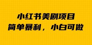 外面卖1980的小红书美剧项目,单日收益1000+,小众暴利的赛道【揭秘】-第一资源库
