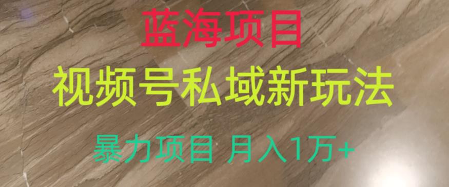 蓝海项目,视频号私域新玩法,暴力项目月入1万+【揭秘】-第一资源库