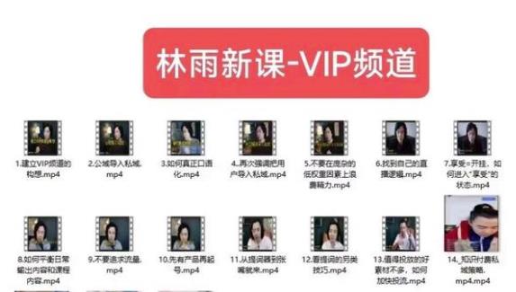 林雨新课VIP频道,玩赚私域/朋友圈/社群-第一资源库