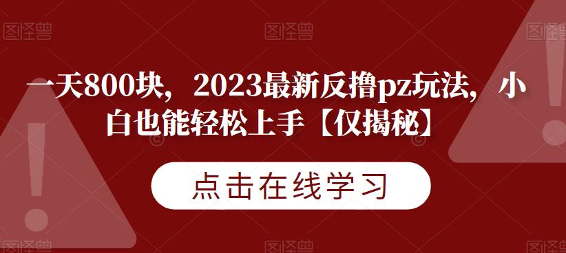 一天800块,2023最新反撸pz玩法,小白也能轻松上手【仅揭秘】-第一资源库