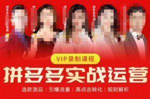 2023推易拼多多实战运营,选款测品、引爆流量、高点击转化、规则解析-第一资源库
