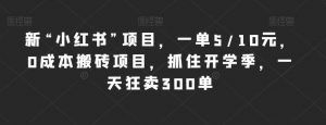 新“小红书”项目，一单5/10元，0成本搬砖项目，抓住开学季，一天狂卖300单【揭秘】-第一资源库