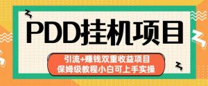 拼多多挂机项目引流+赚钱双重收益项目(保姆级教程小白可上手实操)【揭秘】-第一资源库
