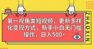 第一视角类短视频,更新多样化变现方式,新手小白无门槛操作,日入500+【揭秘】-第一资源库