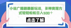 小说广播剧最新玩法,多种变现方式轻轻松松日入500+【揭秘】-第一资源库