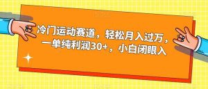 冷门运动赛道,轻松月入过万,一单纯利润30+,小白闭眼入【揭秘】-第一资源库