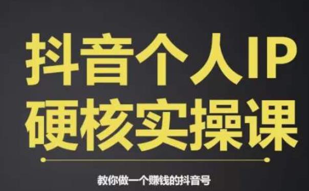 个人IP创富系统实战课,商业定位,流量打造,短视频变现,教你做个赚钱的抖音号-第一资源库