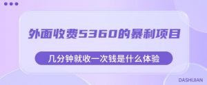 外面收费5360的暴利项目,几分钟就收一次钱是什么体验,附素材【揭秘】-第一资源库