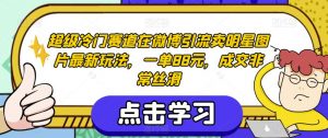 超级冷门赛道在微博引流卖明星图片最新玩法,一单88元,成交非常丝滑【揭秘】-第一资源库
