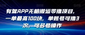有驾APP无脑搬运零撸项目,一单最高100块,单账号可撸3次,可多号操作【揭秘】-第一资源库