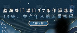 蓝海冷门项目37条作品涨粉13W，中老年人的流量密码【揭秘】-第一资源库