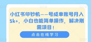 小红书印钞机——号成单账号月入5k+,小白也能简单操作,解决刚需项目【揭秘】-第一资源库