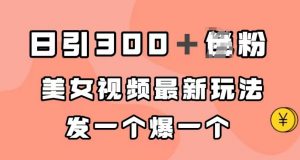 日引300+男粉,美女视频最新玩法,发一个爆一个【揭秘】-第一资源库