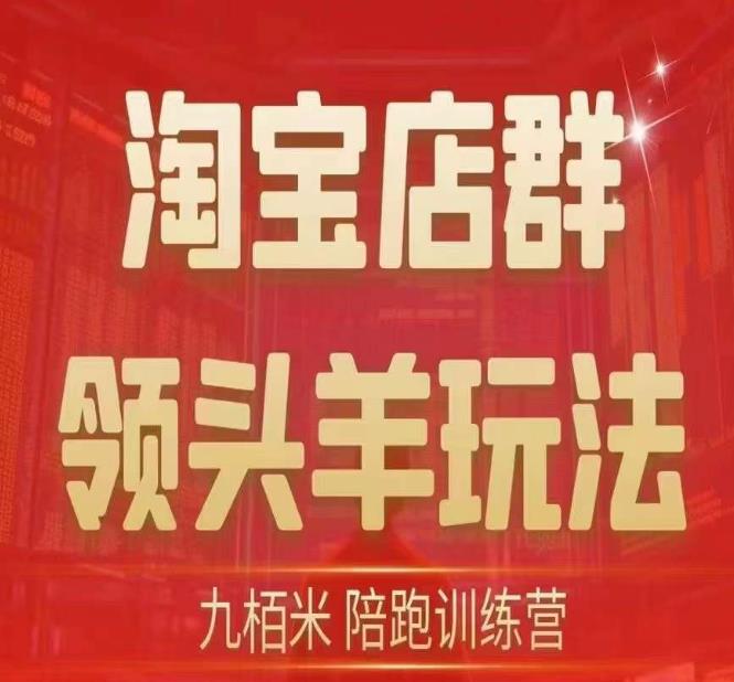 九栢米-淘宝店群领头羊玩法,教你整个淘宝店群领头羊玩法以及精细化/终极蓝海/尾销等内容-第一资源库