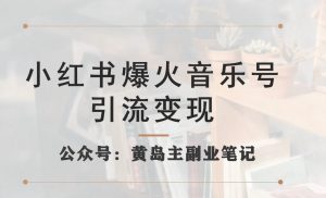 小红书爆火音乐号引流变现项目,视频版一条龙实操玩法分享给你-第一资源库