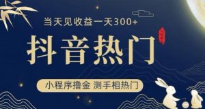 抖音最新小程序撸金,测手相上热门,当天见收益一小时变现300+【揭秘】-第一资源库
