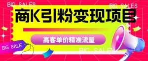 商K引粉变现项目，高客单价精准流量【揭秘】-第一资源库