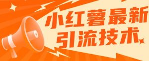 小红书最新引流技术，真正实现解放双手暴力引流-第一资源库