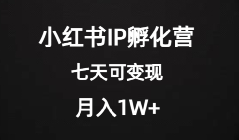 价值2000+的小红书IP孵化营项目,超级大蓝海,七天即可开始变现,稳定月入1W+-第一资源库