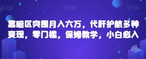 靠暗区突围月入六万,代肝护航多种变现,零门槛,保姆教学,小白必入【揭秘】-第一资源库