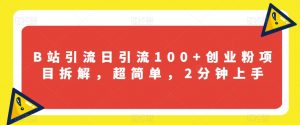 B站引流日引流100+创业粉项目拆解,超简单,2分钟上手【揭秘】-第一资源库