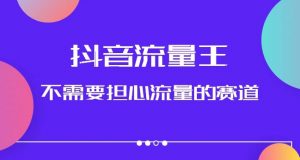 抖音流量王,不需要担心流量的赛道,美女图文音乐号升级玩法(附实操+养号流程)-第一资源库