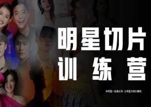 王子·明星切片线上训练营(2023),和明星一起拿红利,让明星为我们赚钱-第一资源库