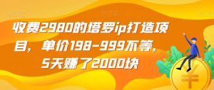 收费2980的塔罗ip打造项目，单价198-999不等，5天赚了2000块【揭秘】-第一资源库