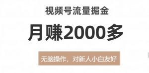 视频号流量掘金，无脑操作，对新人小白友好，月赚2000多【揭秘】-第一资源库