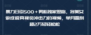暴力日引500+男粉独家思路,将美女做成极具视觉冲击力的视频,单月盈利超2万轻轻松松-第一资源库