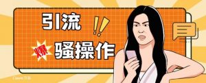 最新引流骚操作,单账号日引50-100,简单粗暴,适合于小白各行各业都可以进行操作,精准粉丝加到爆-第一资源库