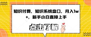 知识付费,知识系统盘口,月入1w+,新手小白直接上手-第一资源库