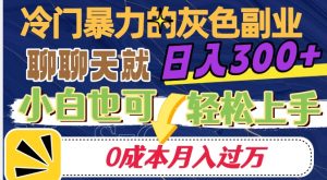 冷门暴利的副业项目，聊聊天就能日入300+，0成本月入过万【揭秘】-第一资源库