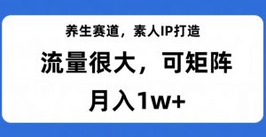 养生赛道,素人IP打造,流量很大,可矩阵,月入1w+【揭秘】-第一资源库