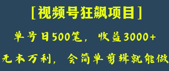 日收款500笔,纯利润3000+,视频号狂飙项目,会简单剪辑就能做【揭秘】-第一资源库