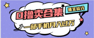 0撸项目月入过万,售卖全套ai工具合集,一单29.9元,一部手机即可【揭秘】-第一资源库